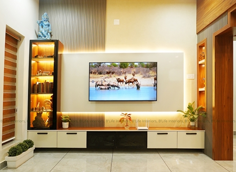 Elegant Modern Entertainment Unit